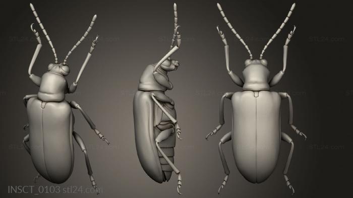 Insects (insects beetle, INSCT_0103) 3D models for cnc