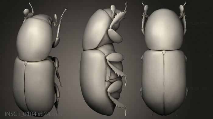 Insects (insects beetle, INSCT_0104) 3D models for cnc
