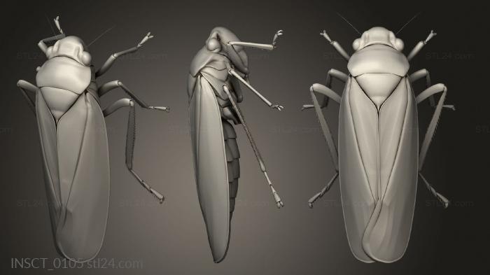 Insects (insects beetle, INSCT_0105) 3D models for cnc