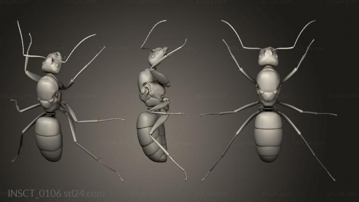 Insects (insects beetle, INSCT_0106) 3D models for cnc