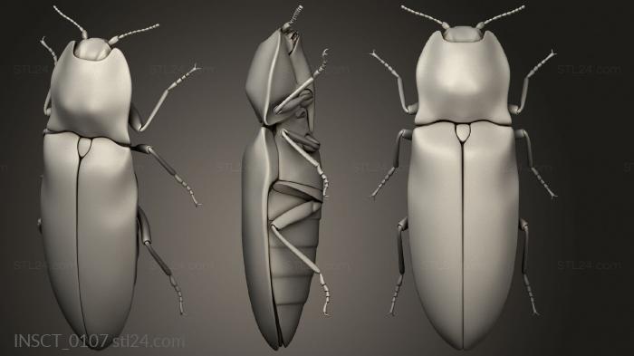 Insects (insects beetle, INSCT_0107) 3D models for cnc
