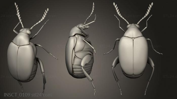 Insects (insects beetle, INSCT_0109) 3D models for cnc