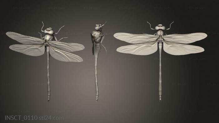 Insects (insects beetle, INSCT_0110) 3D models for cnc