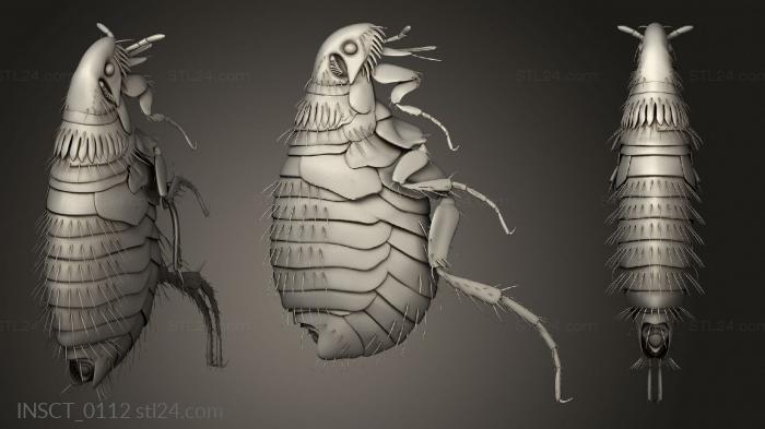 Insects (insects beetle, INSCT_0112) 3D models for cnc