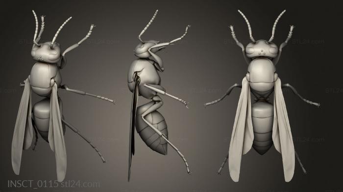 Insects (insects beetle, INSCT_0115) 3D models for cnc