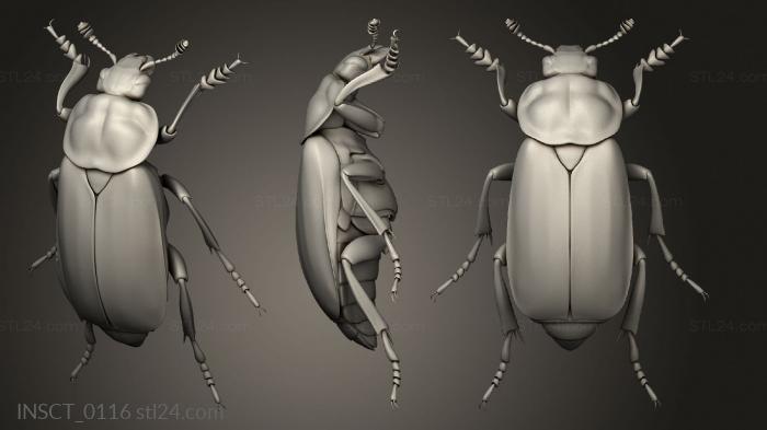 Insects (insects beetle, INSCT_0116) 3D models for cnc