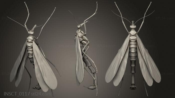 Insects (insects beetle, INSCT_0117) 3D models for cnc