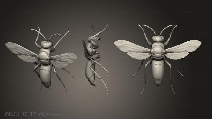Insects (insects beetle, INSCT_0119) 3D models for cnc