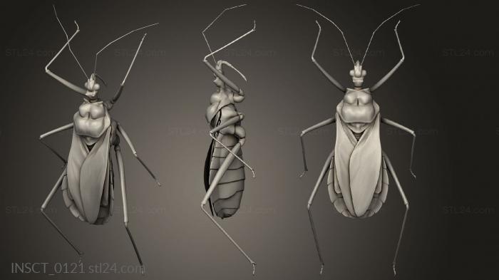 Insects (insects beetle, INSCT_0121) 3D models for cnc