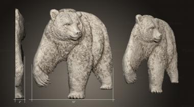 Животные (Медведь, JV_0151) 3D модель для ЧПУ станка