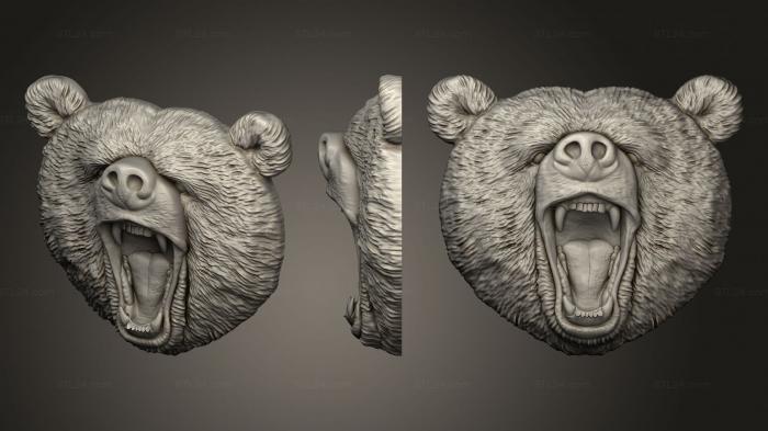 Морда медведя агрессивная