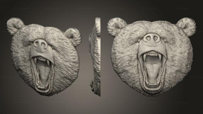 Bear face var1