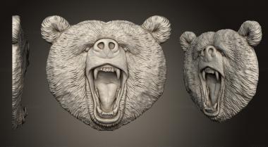 Animals (Bear face var1, JV_0153) 3D models for cnc