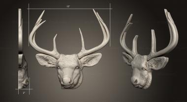 Animals (Deer Face, JV_0154) 3D models for cnc