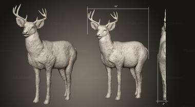 Animals (Deer, JV_0155) 3D models for cnc