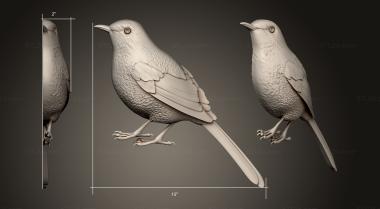 Animals (Birdie, JV_0156) 3D models for cnc