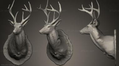 Animals (Deer head, JV_0160) 3D models for cnc
