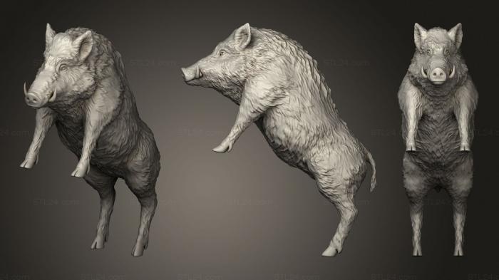Животные (Кабанчик, JV_0166) 3D модель для ЧПУ станка