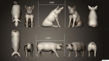 Animals (Little pig var2, JV_0170) 3D models for cnc