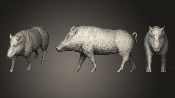 Животные (Кабанчик вариант1, JV_0172) 3D модель для ЧПУ станка