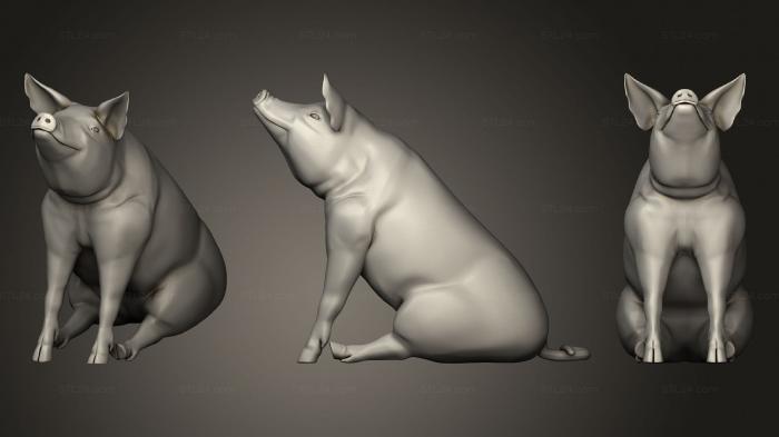 Animals (Little pig var5, JV_0180) 3D models for cnc