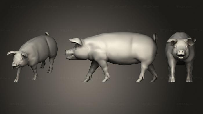 Животные (Поросенок вариант6, JV_0181) 3D модель для ЧПУ станка