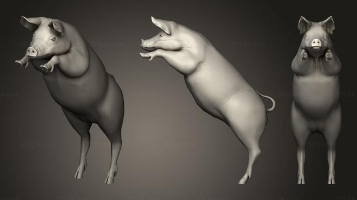 Animals (Little pig var8, JV_0182) 3D models for cnc