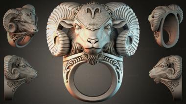 Various jewelry Lion head ring with double spiral horns 3d model
