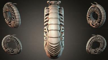 Various jewelry JVLRI_000093 3d model