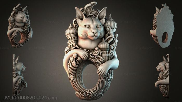 JVLRI_000820 3d STL model