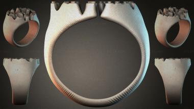 Various jewelry JVLRI_001614 3d model