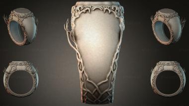 Various jewelry JVLRI_001617 3d model