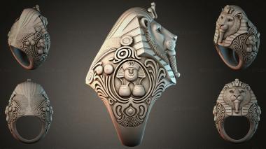 Various jewelry JVLRI_001664 3d model