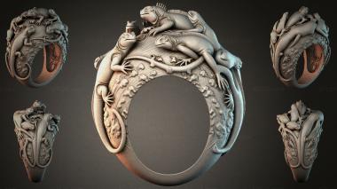 Various jewelry JVLRI_001867 3d model