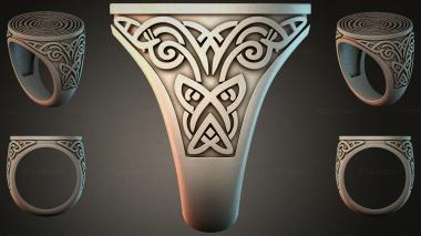 Various jewelry JVLRI_001924 3d model