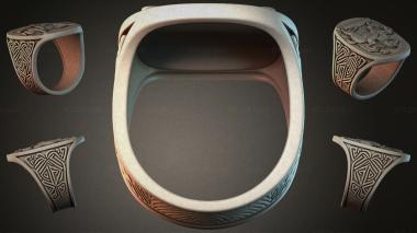 Various jewelry JVLRI_002163 3d model