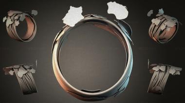 Various jewelry JVLRI_002170 3d model