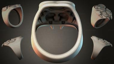 Various jewelry JVLRI_002521 3d model