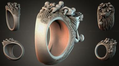 Various jewelry JVLRI_002585 3d model