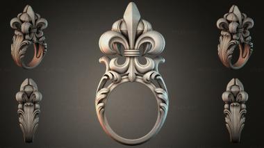 Various jewelry JVLRI_002593 3d model