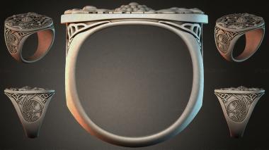 Various jewelry JVLRI_002595 3d model