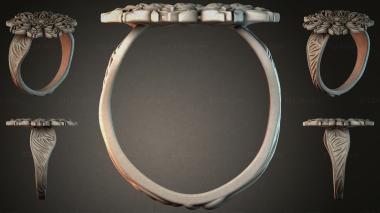 Various jewelry JVLRI_002633 3d model