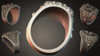 Various jewelry JVLRI_002648 3d model