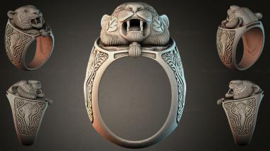Various jewelry JVLRI_002733 3d model