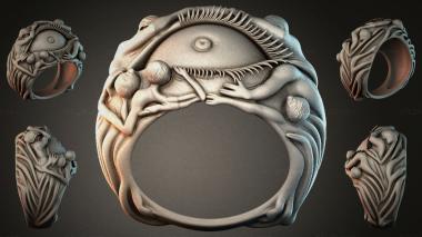 Various jewelry JVLRI_002831 3d model
