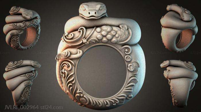Various jewelry (JVLRI_002964) 3D models for cnc