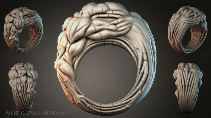 JVLRI_002969 3d STL model