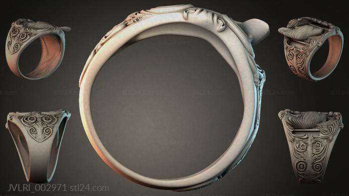 JVLRI_002971 3d STL model
