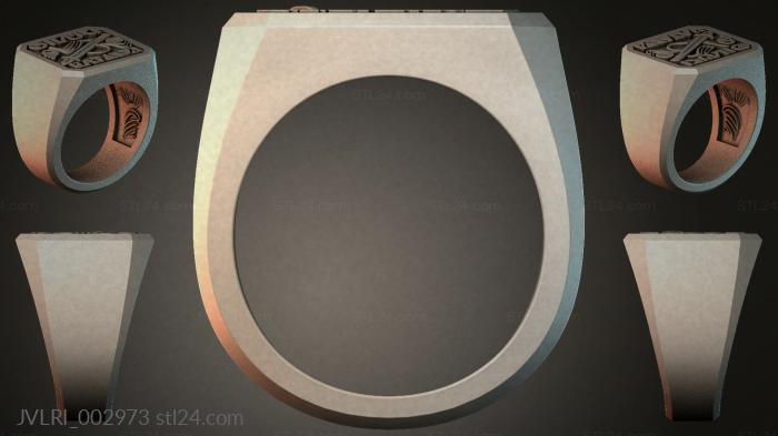 JVLRI_002973 3d STL model