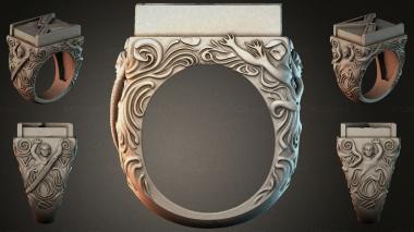Various jewelry JVLRI_002988 3d model